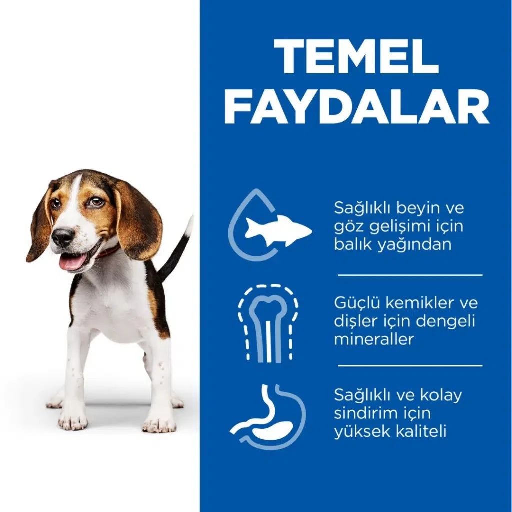 Görsel küçük resim 4