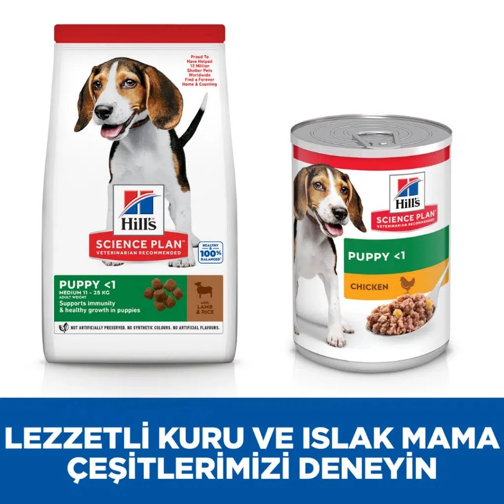 Görsel küçük resim 6