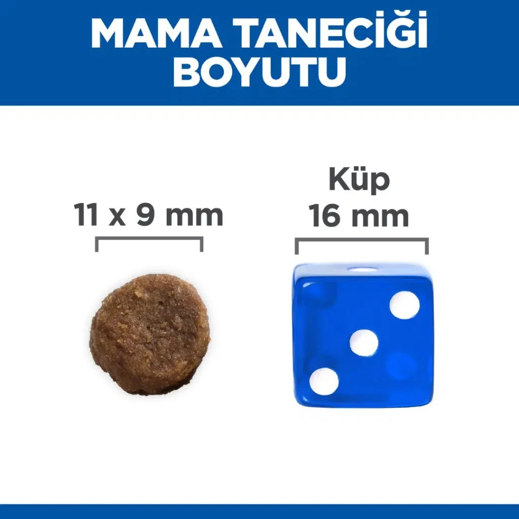 Görsel küçük resim 7