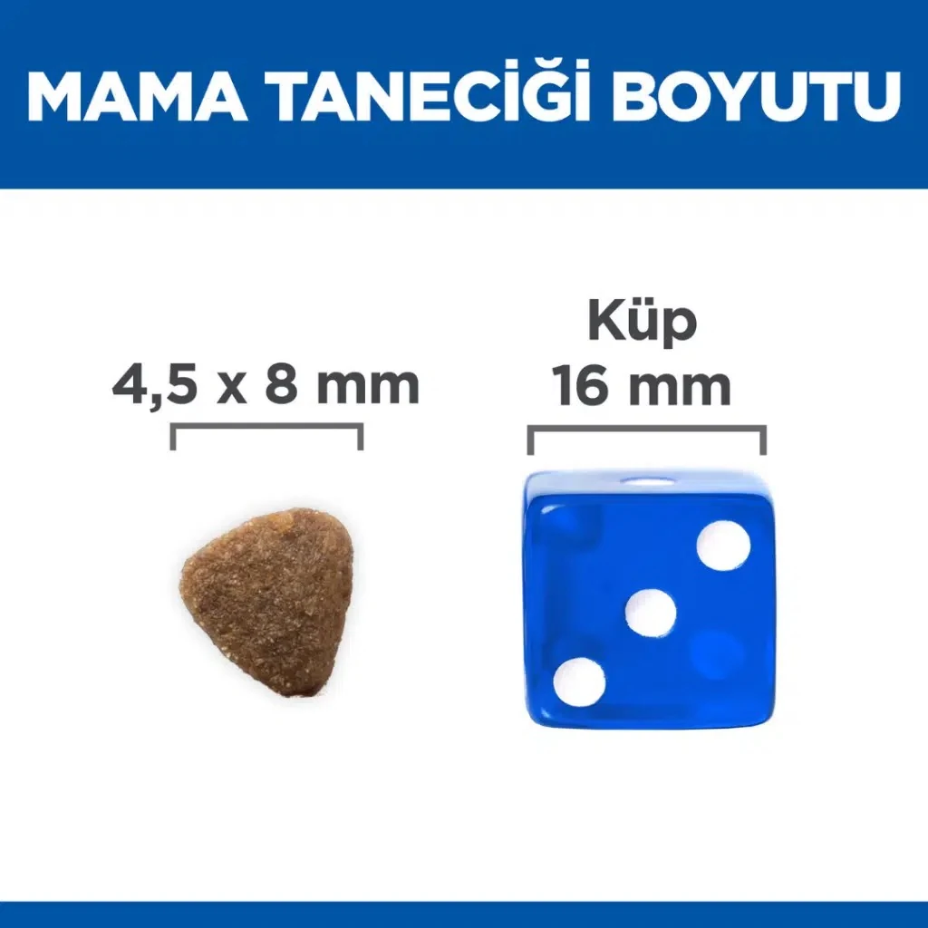 Görsel küçük resim 7