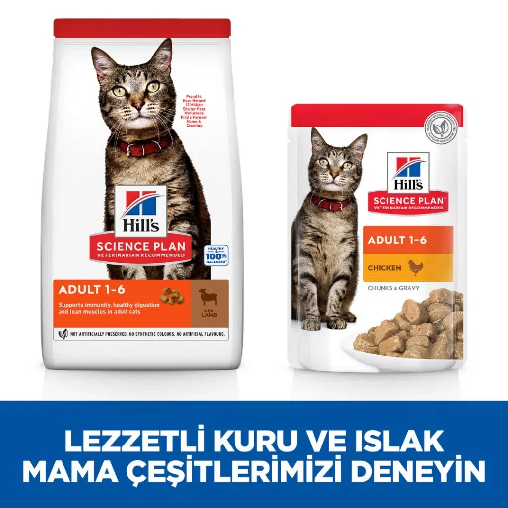 Görsel küçük resim 6