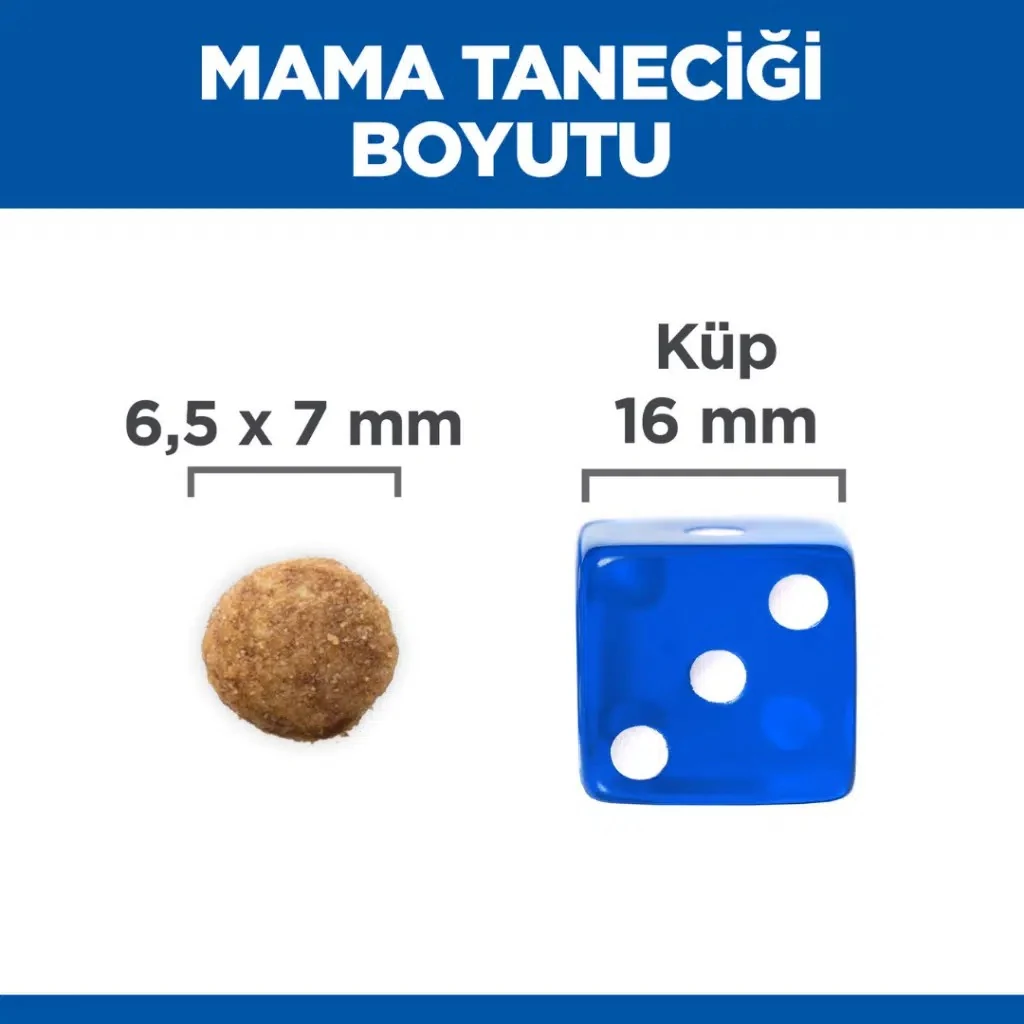 Görsel küçük resim 7