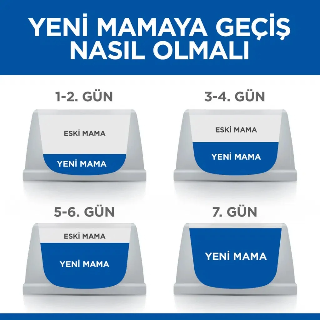Görsel küçük resim 8
