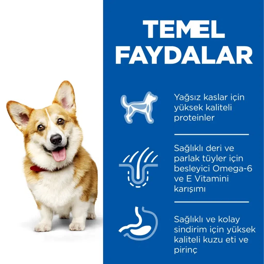 Görsel küçük resim 4