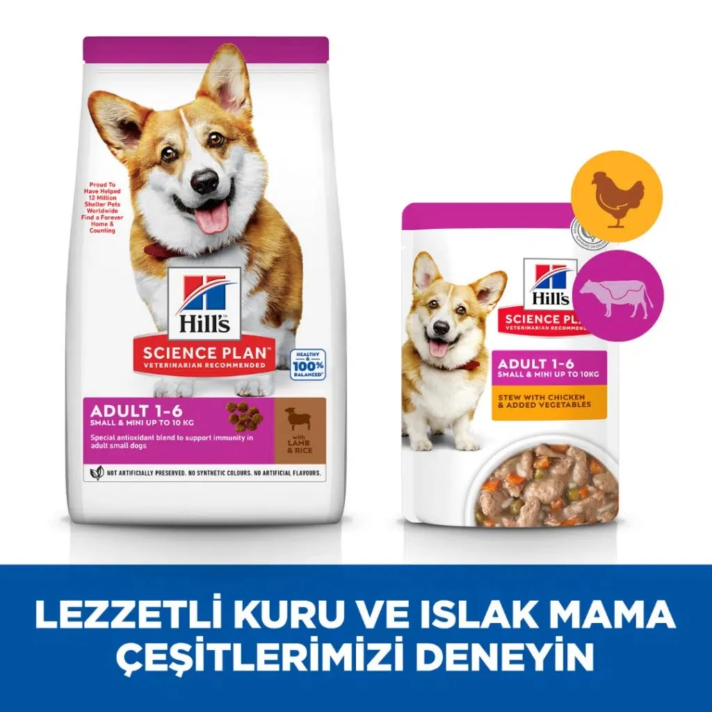 Görsel küçük resim 6