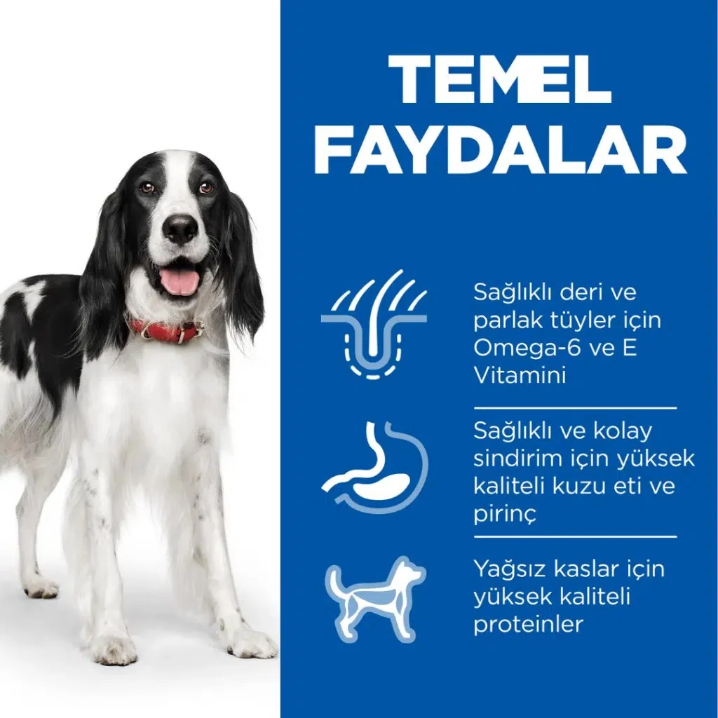 Görsel küçük resim 4
