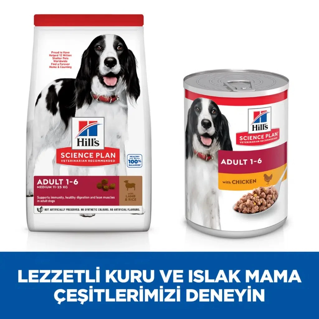Görsel küçük resim 6
