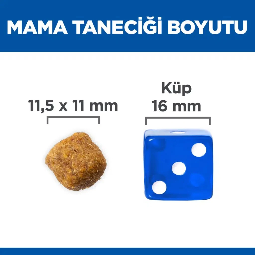 Görsel küçük resim 7
