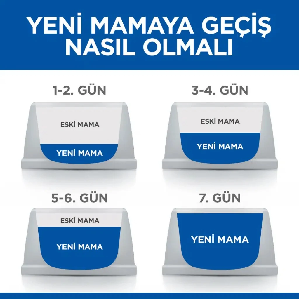 Görsel küçük resim 8