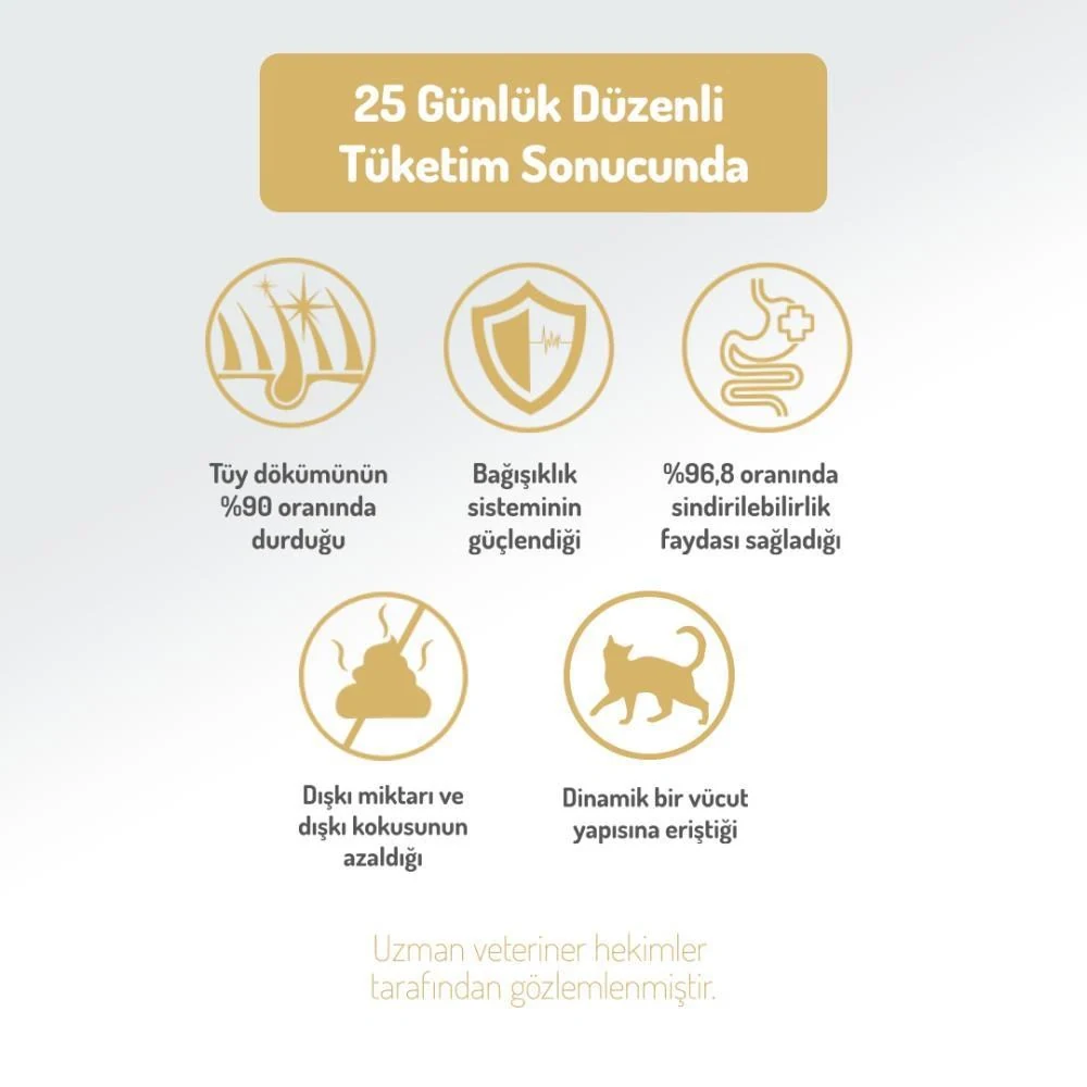 Görsel küçük resim 5