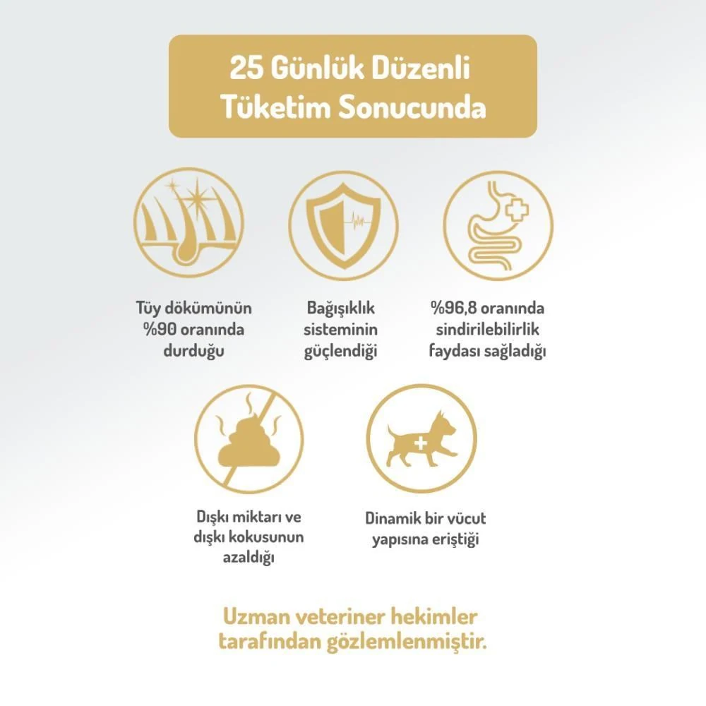 Görsel küçük resim 5