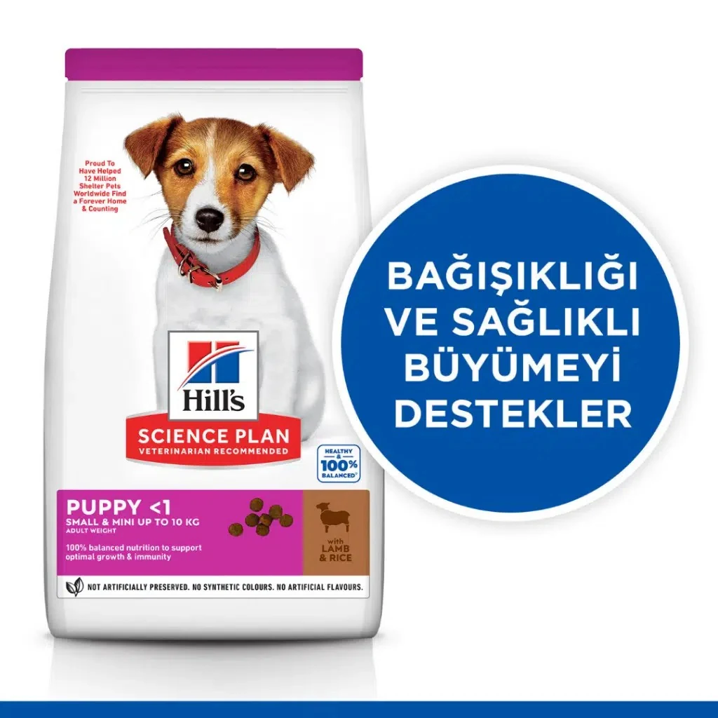 Görsel küçük resim 3