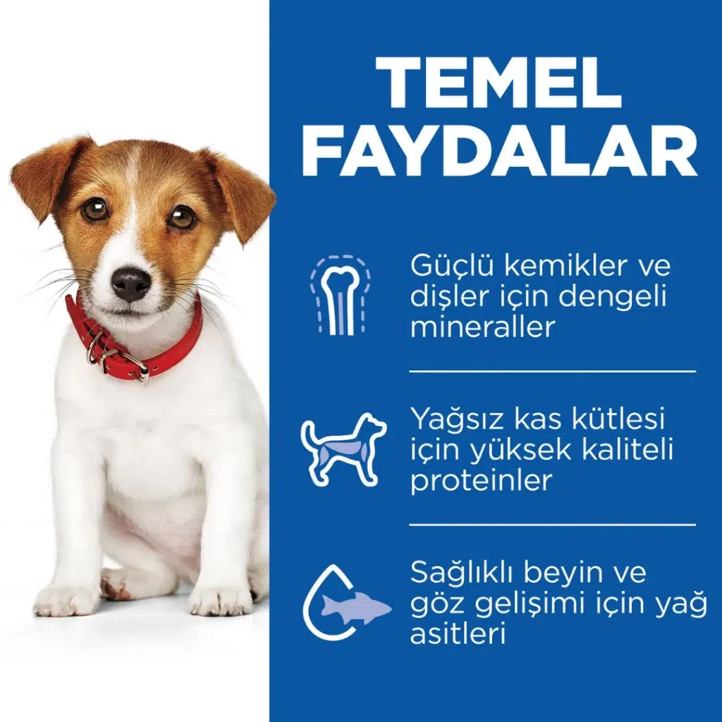 Görsel küçük resim 4