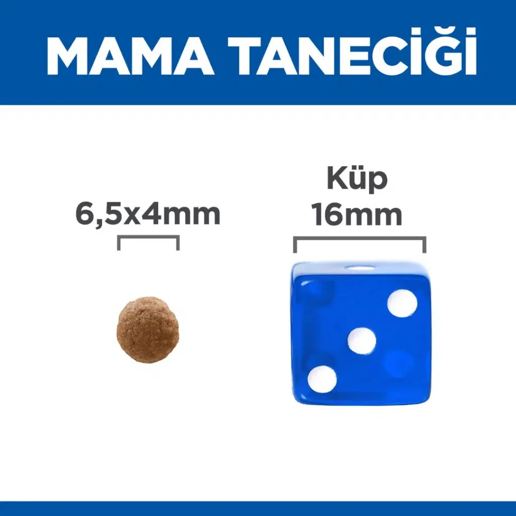 Görsel küçük resim 7