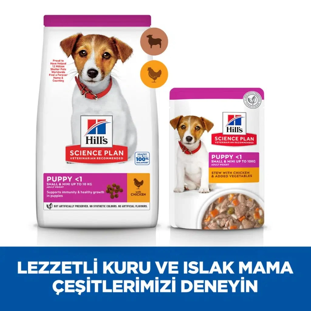 Görsel küçük resim 6