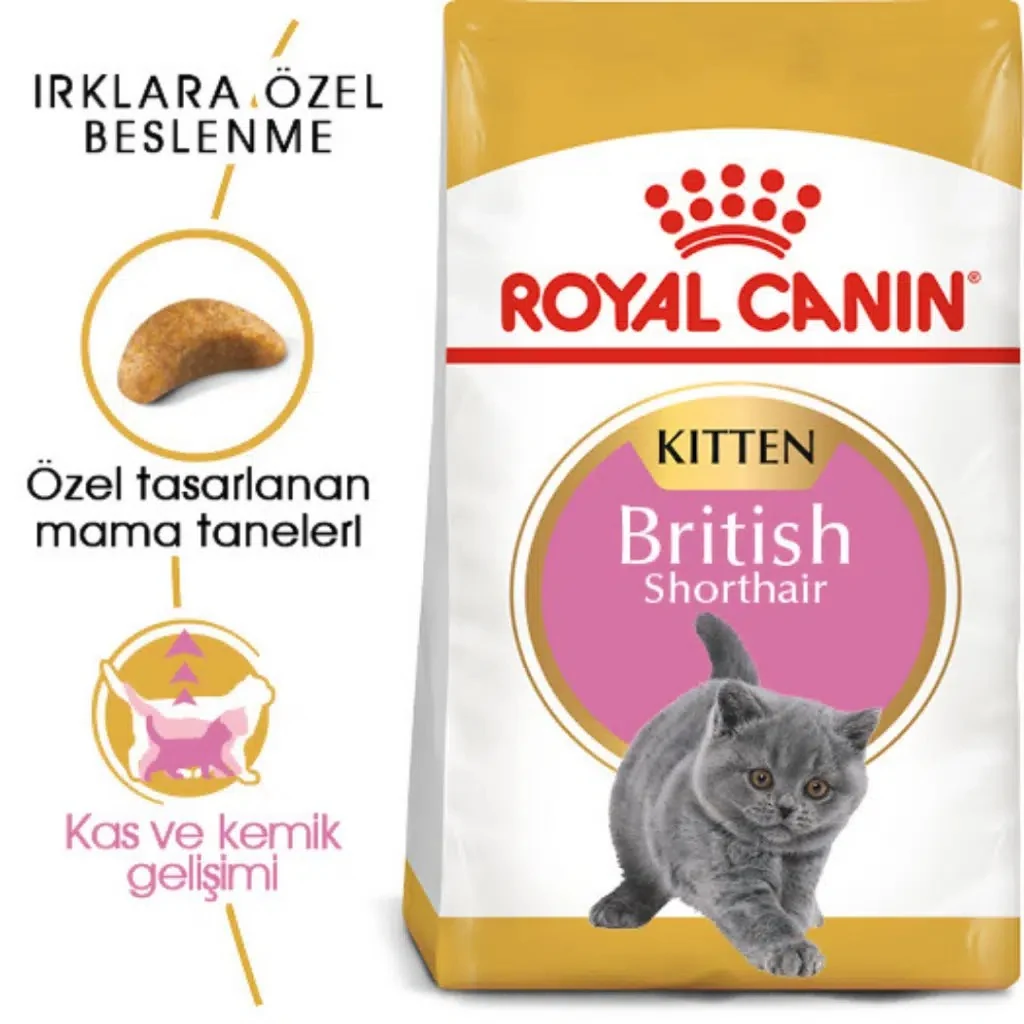 Görsel küçük resim 2