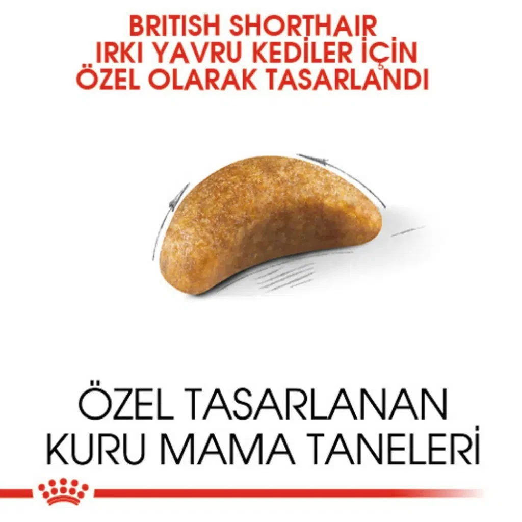 Görsel küçük resim 3