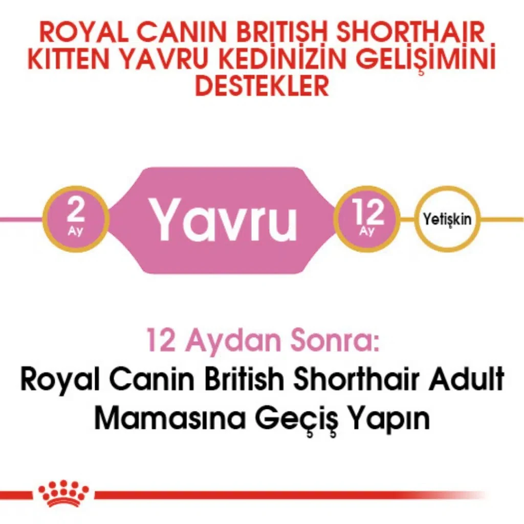 Görsel küçük resim 4