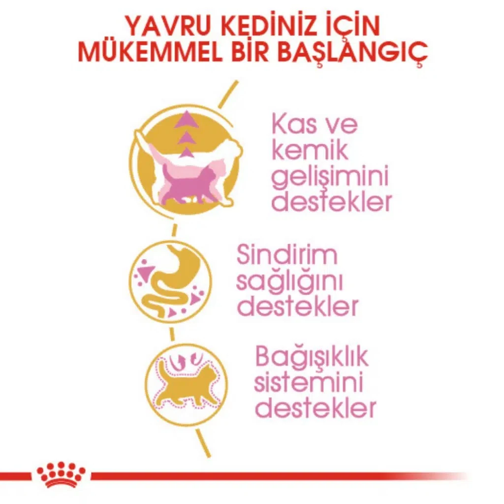 Görsel küçük resim 5