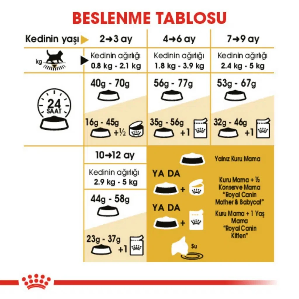 Görsel küçük resim 6