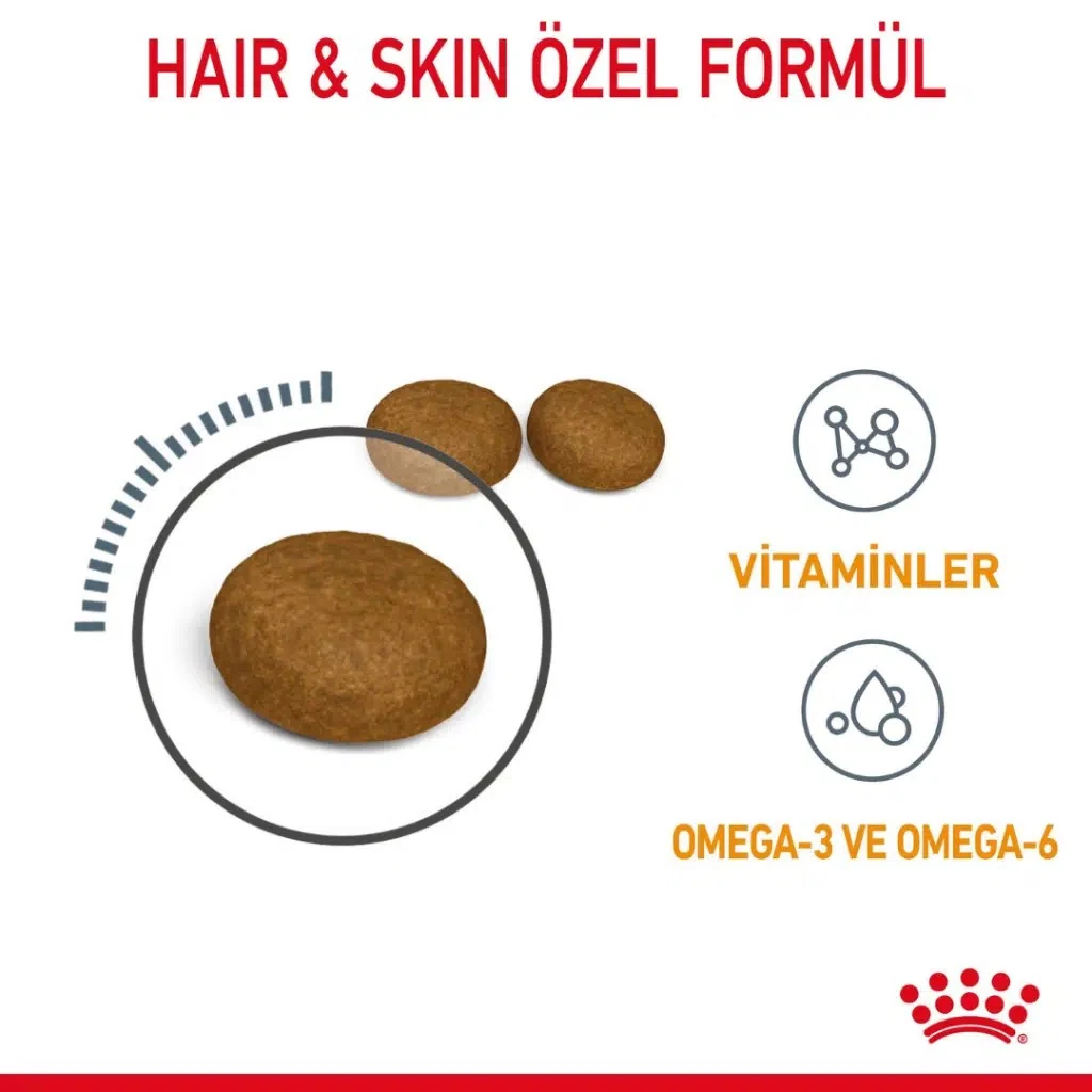 Görsel küçük resim 3