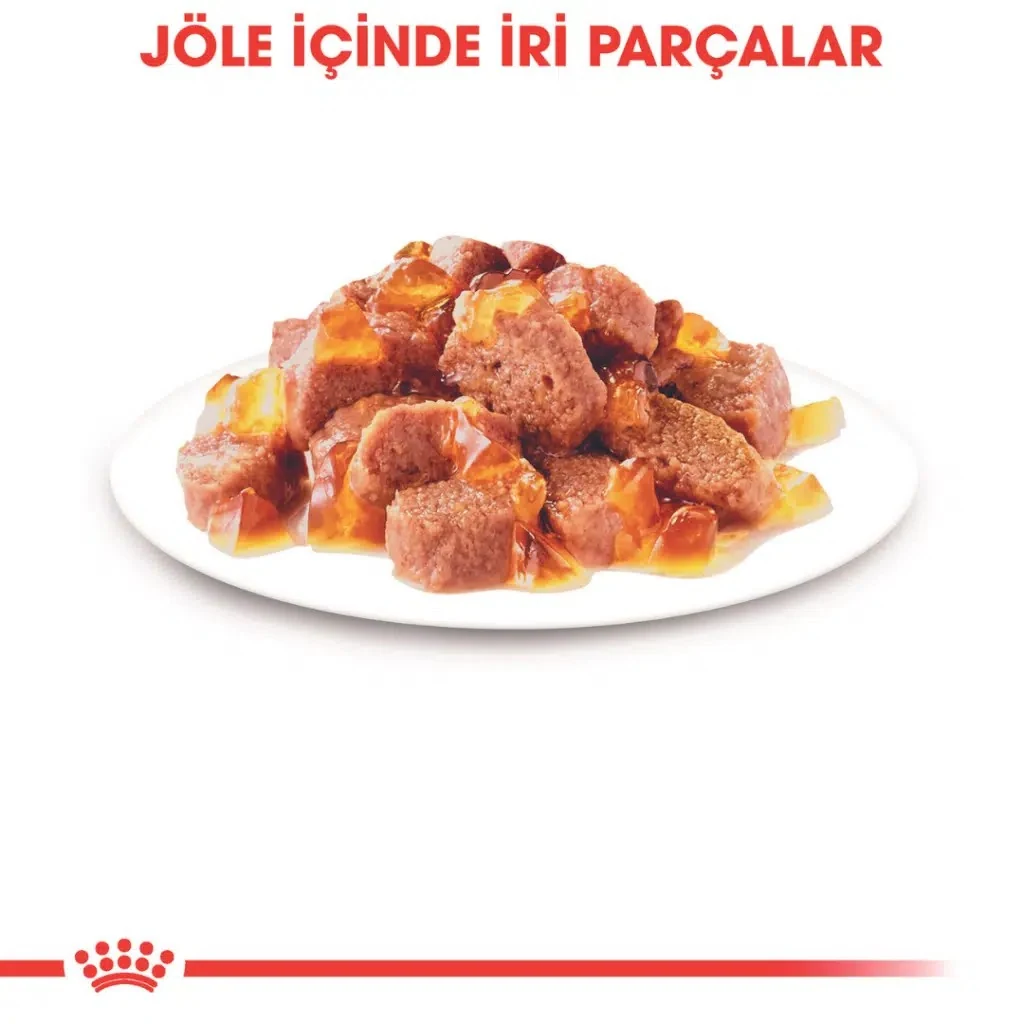 Görsel küçük resim 3