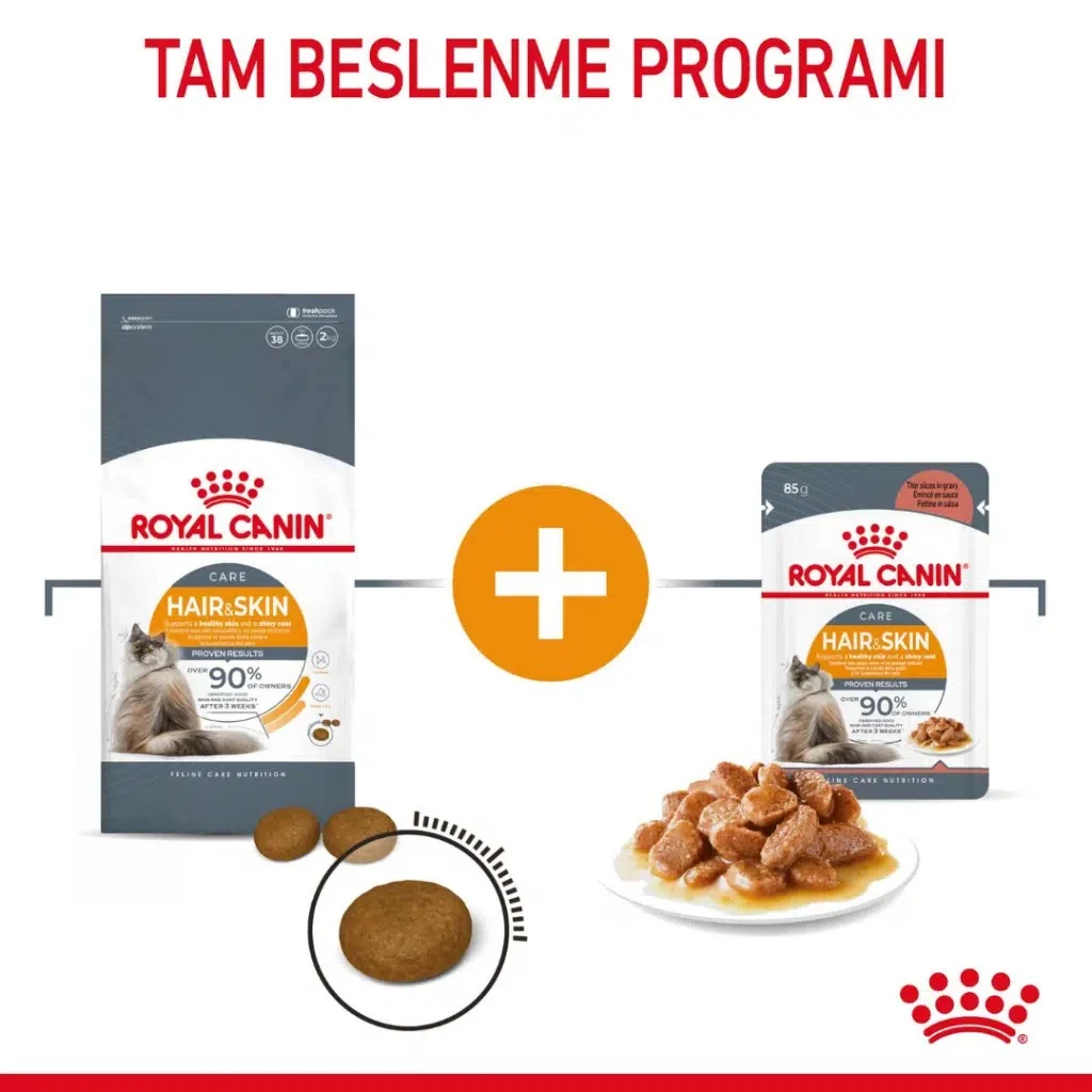 Görsel küçük resim 5