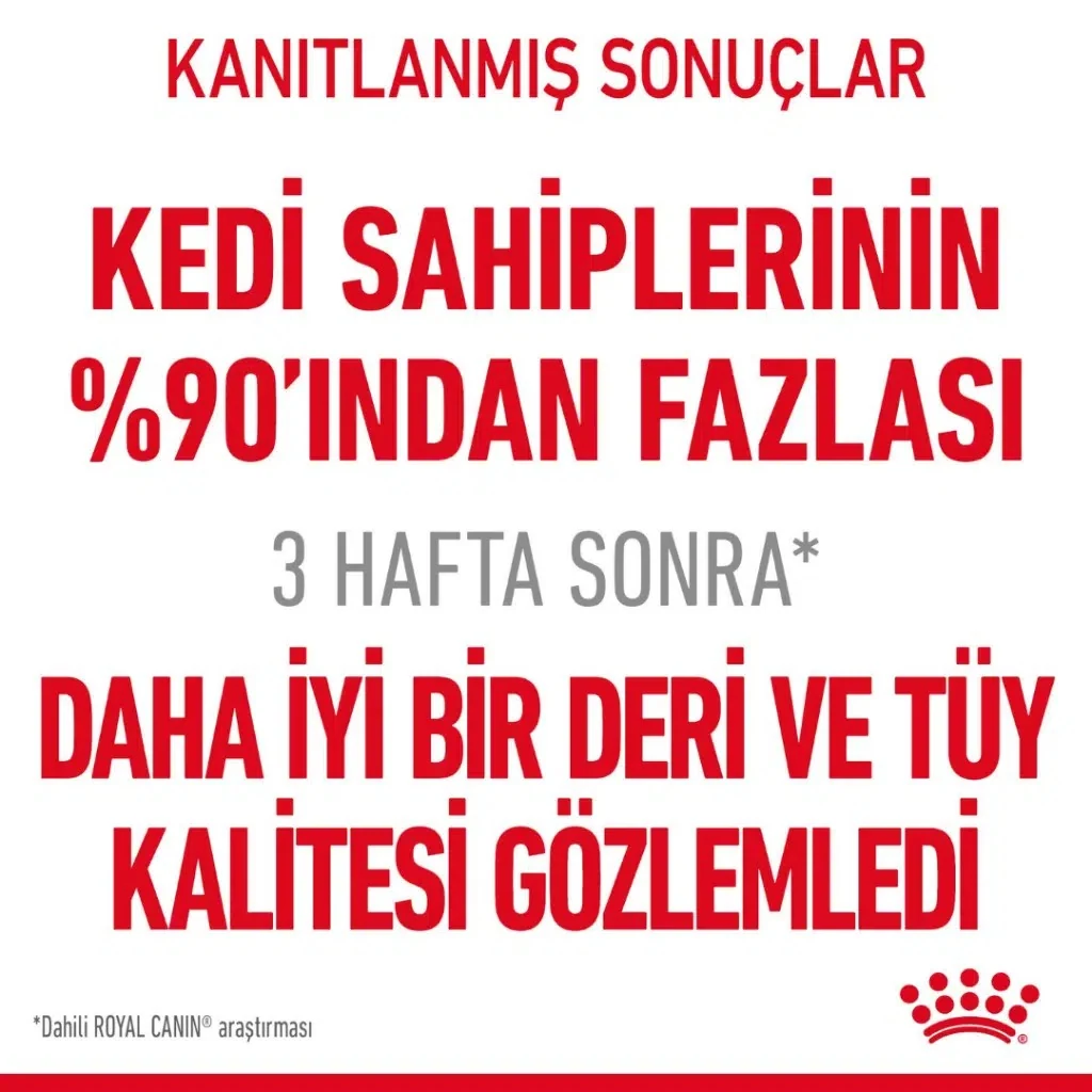 Görsel küçük resim 4