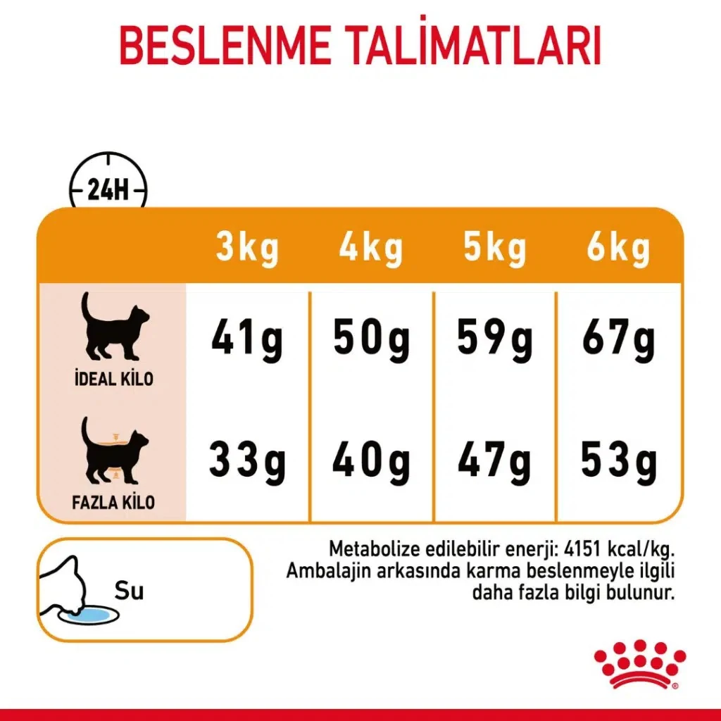 Görsel küçük resim 6