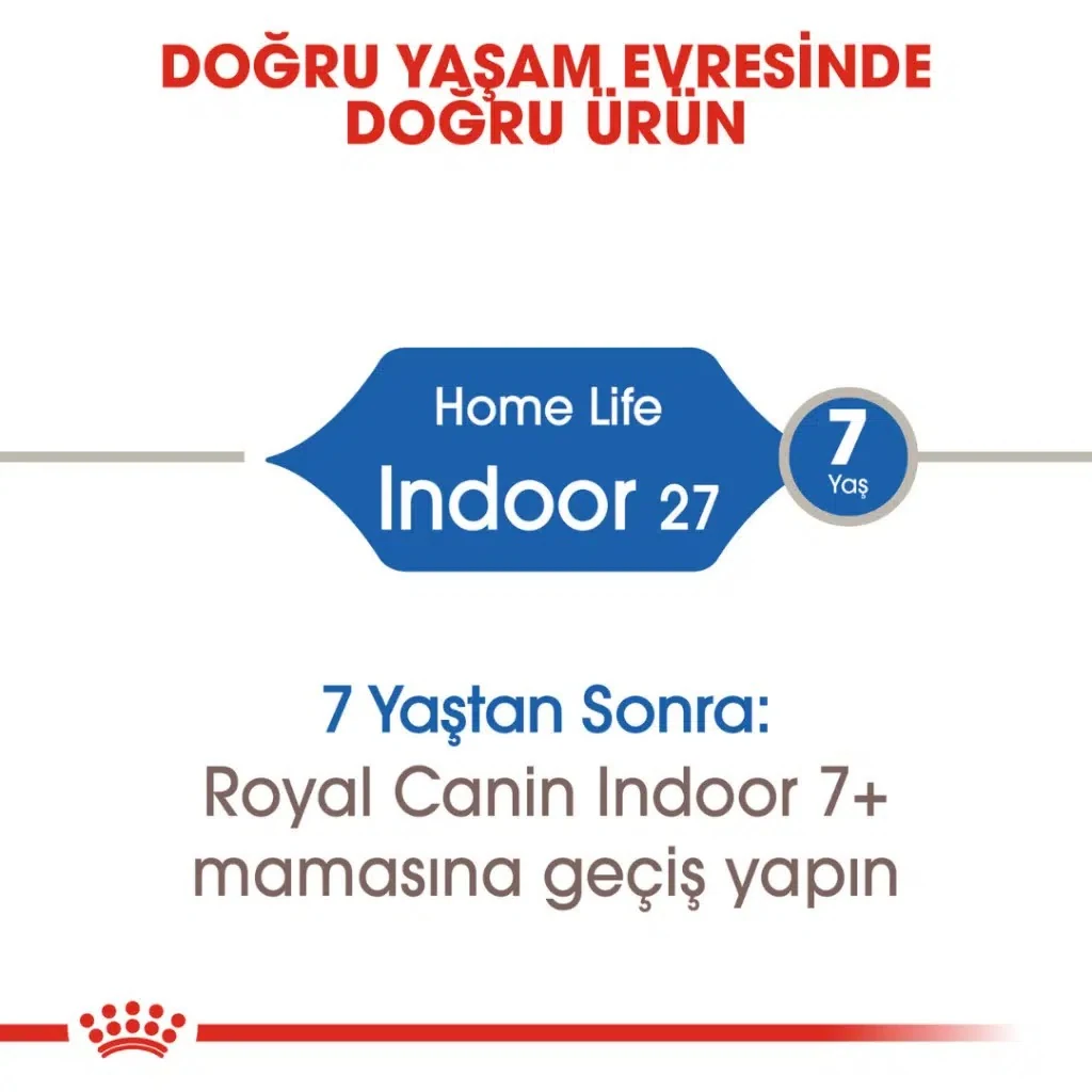 Görsel küçük resim 4