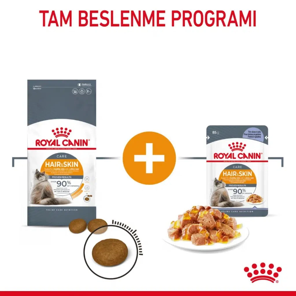 Görsel küçük resim 5