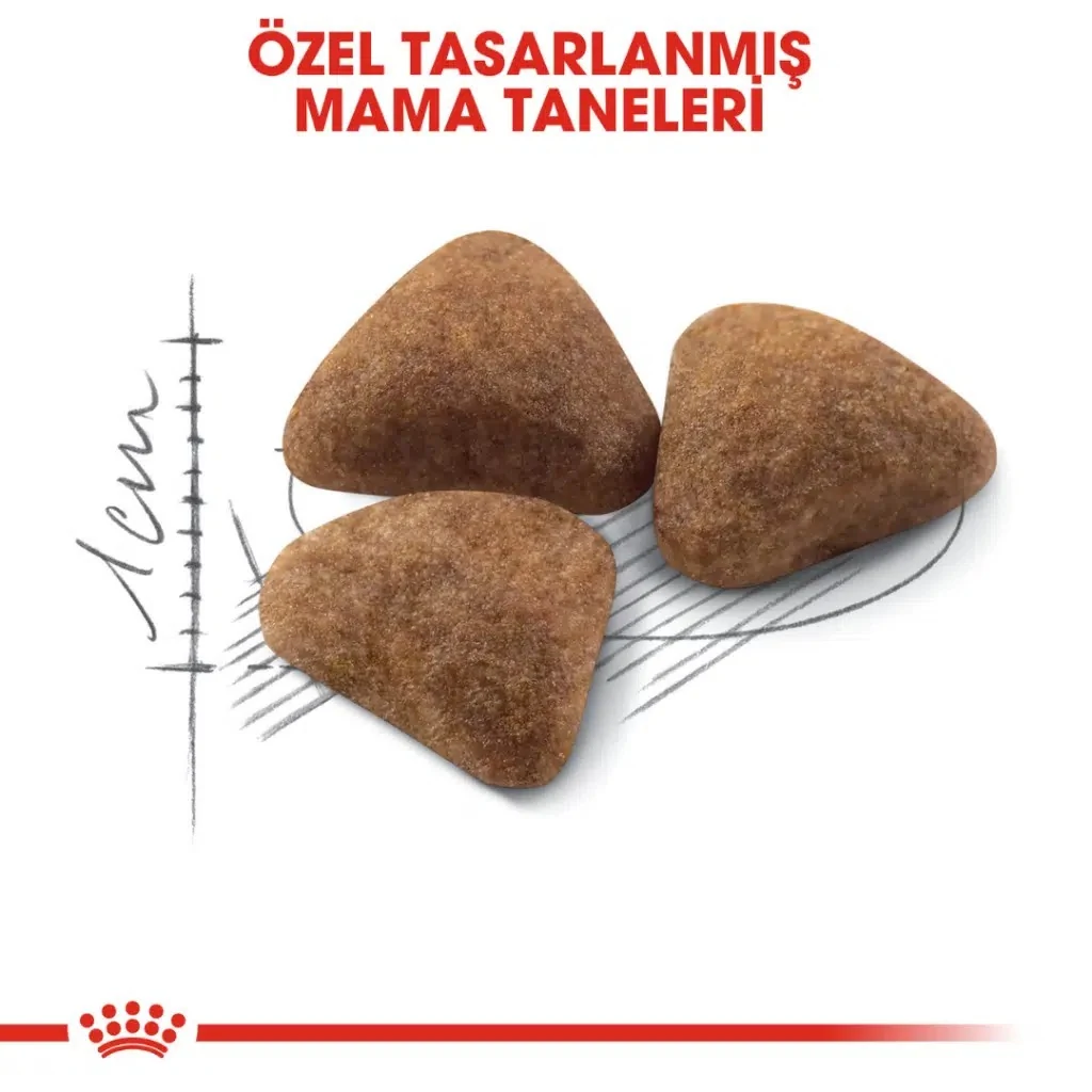 Görsel küçük resim 3