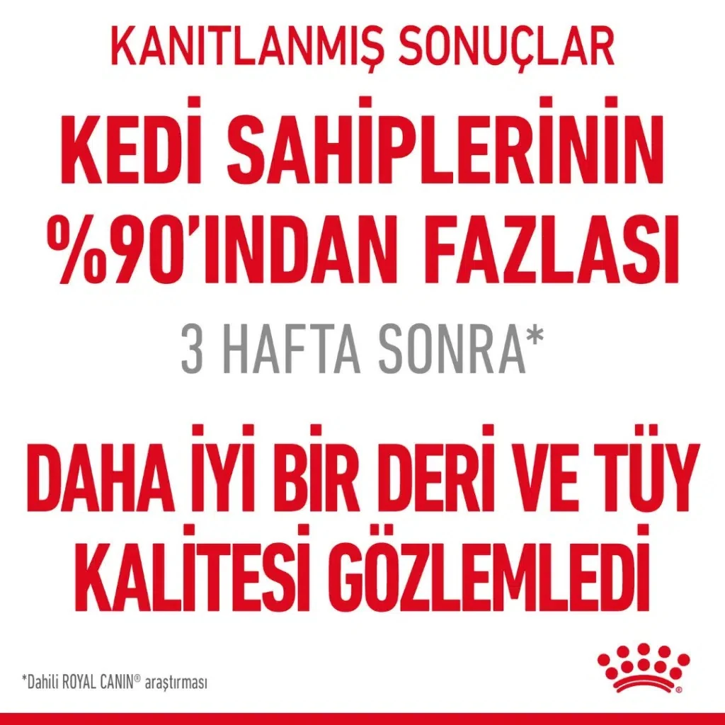 Görsel küçük resim 4