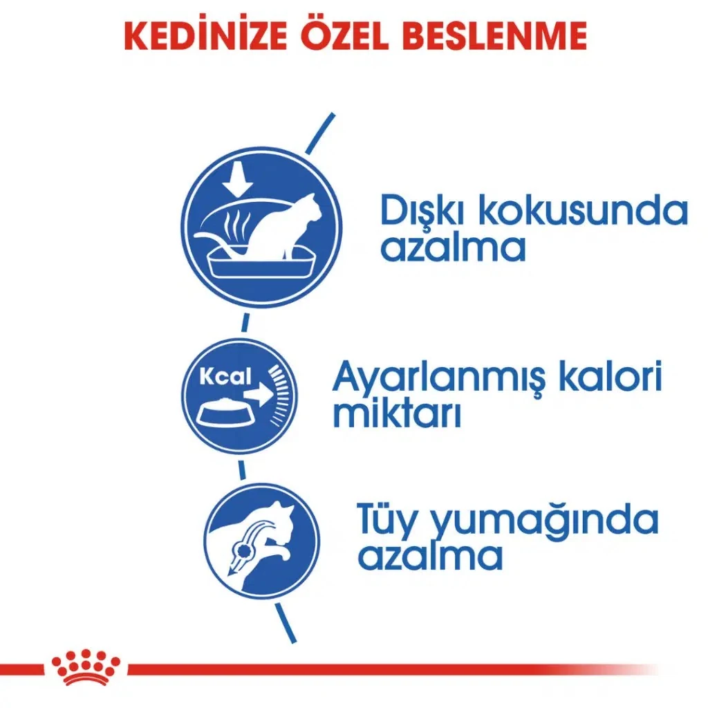 Görsel küçük resim 5