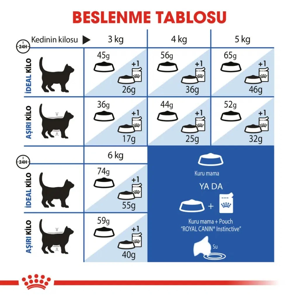 Görsel küçük resim 6