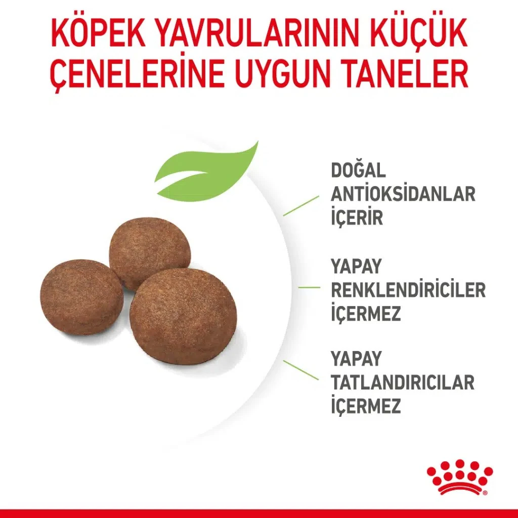 Görsel küçük resim 3