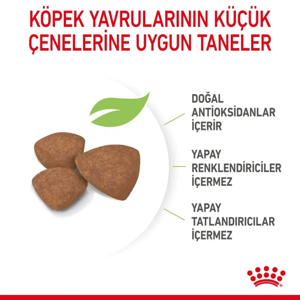 Görsel küçük resim 3