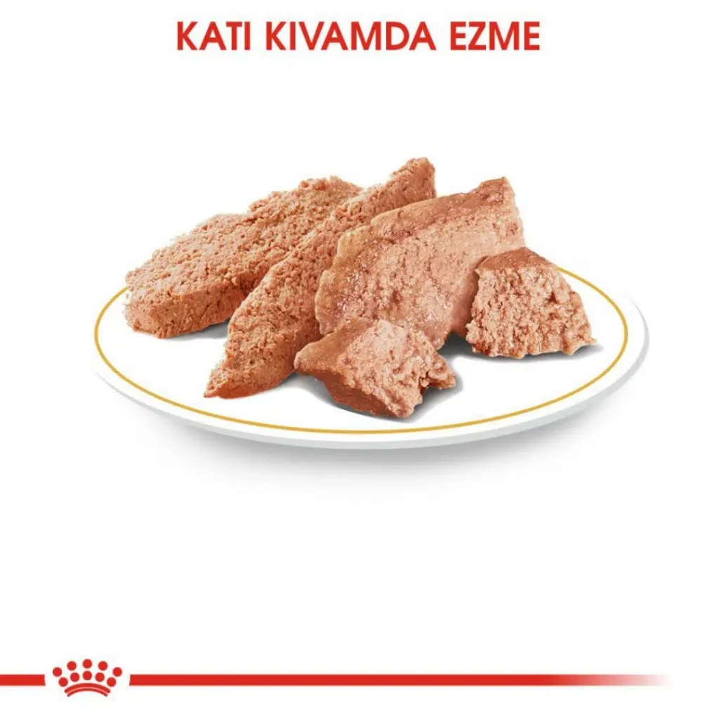 Görsel küçük resim 3