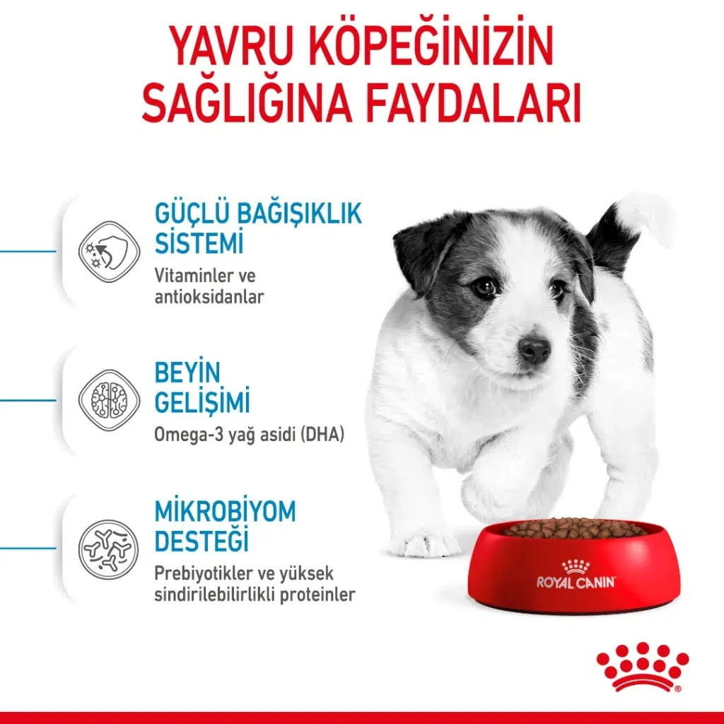 Görsel küçük resim 5