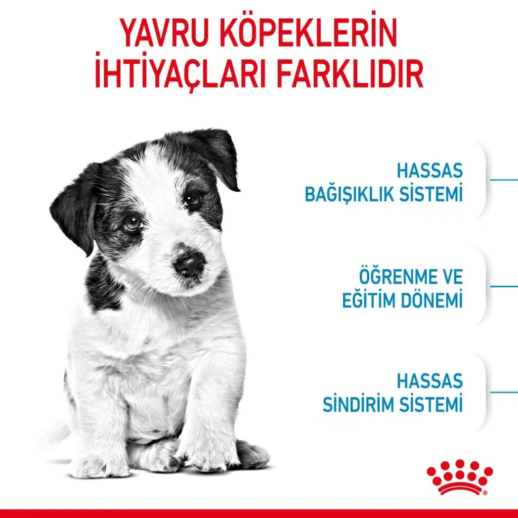 Görsel küçük resim 4