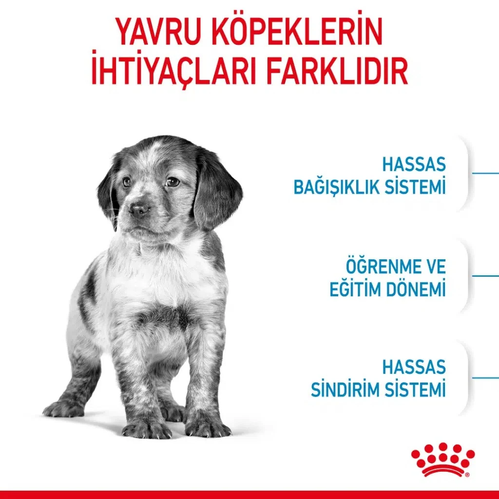Görsel küçük resim 4