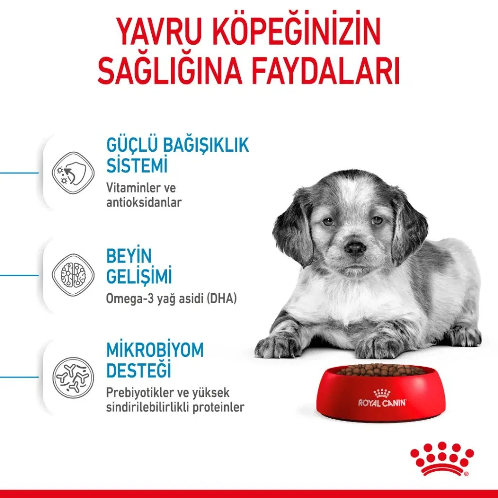 Görsel küçük resim 5