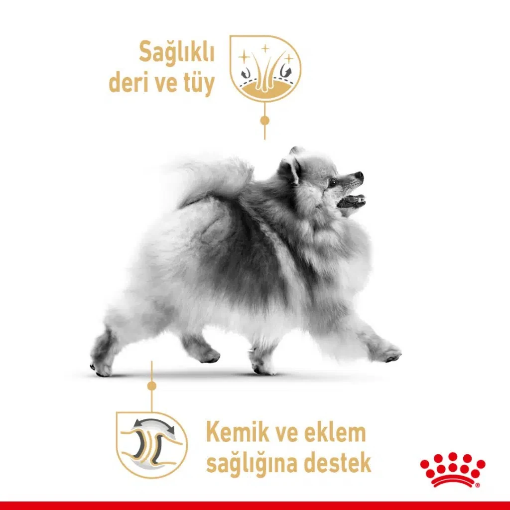 Görsel küçük resim 4