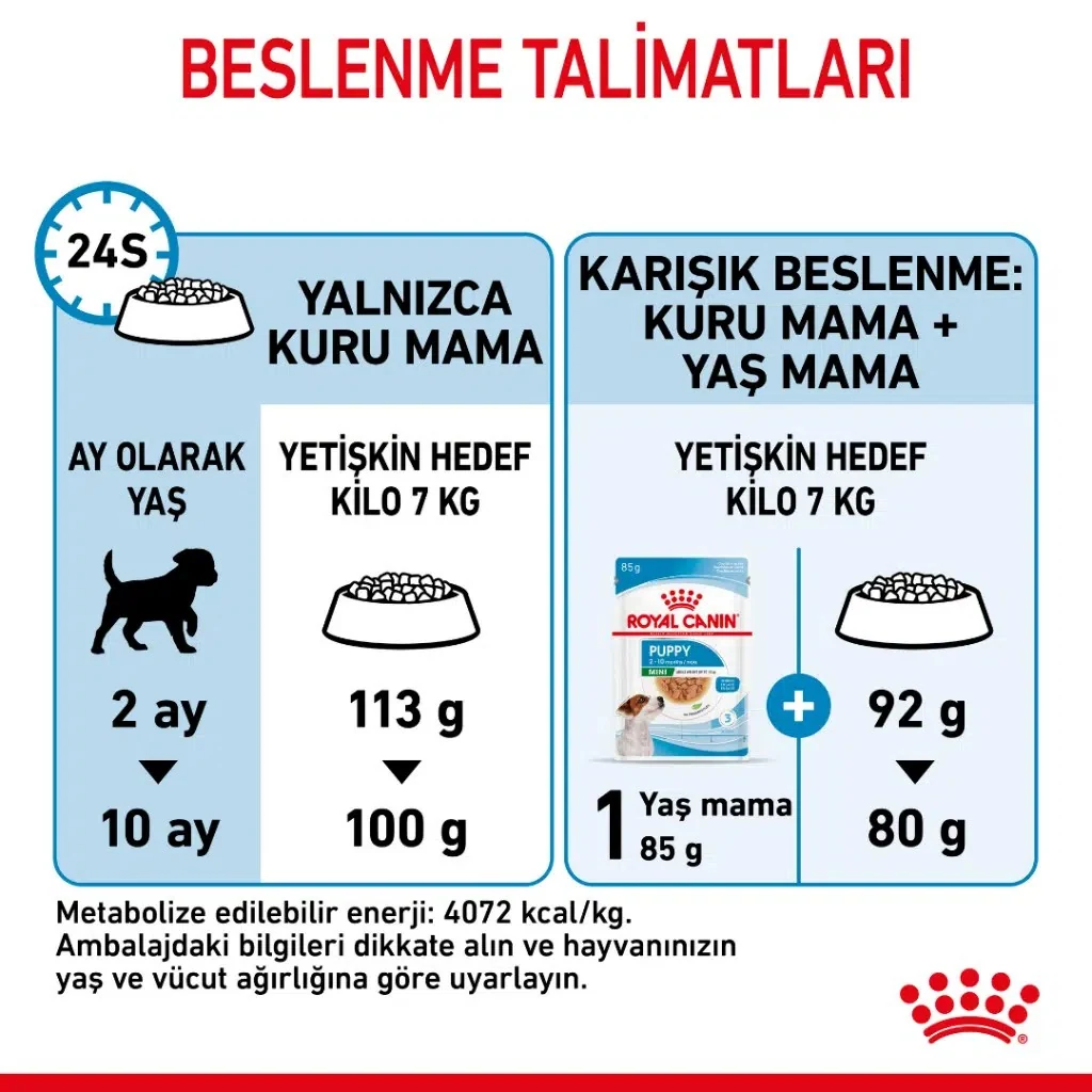 Görsel küçük resim 6