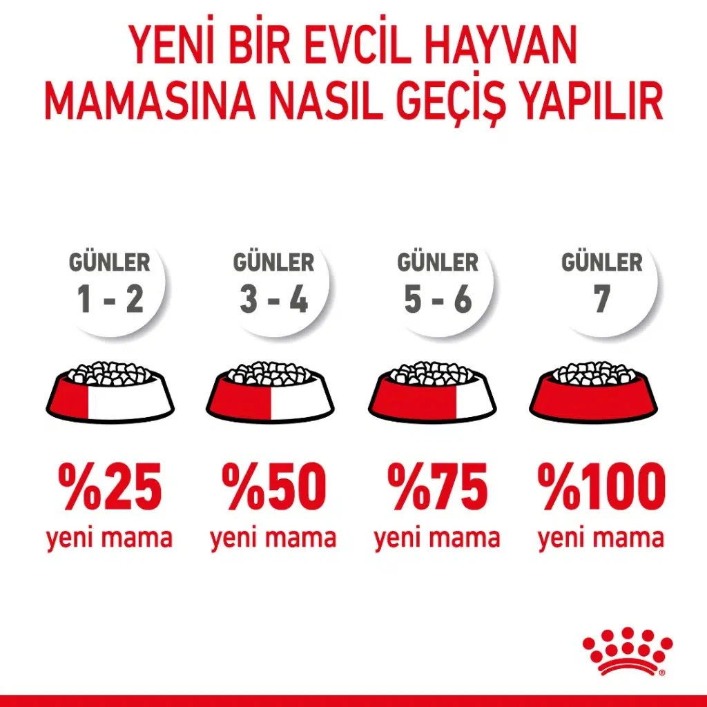 Görsel küçük resim 8