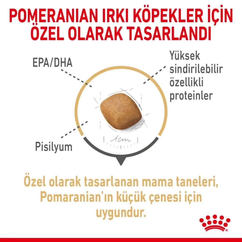 Görsel küçük resim 3