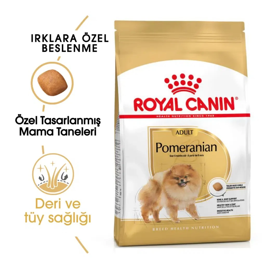Görsel küçük resim 2