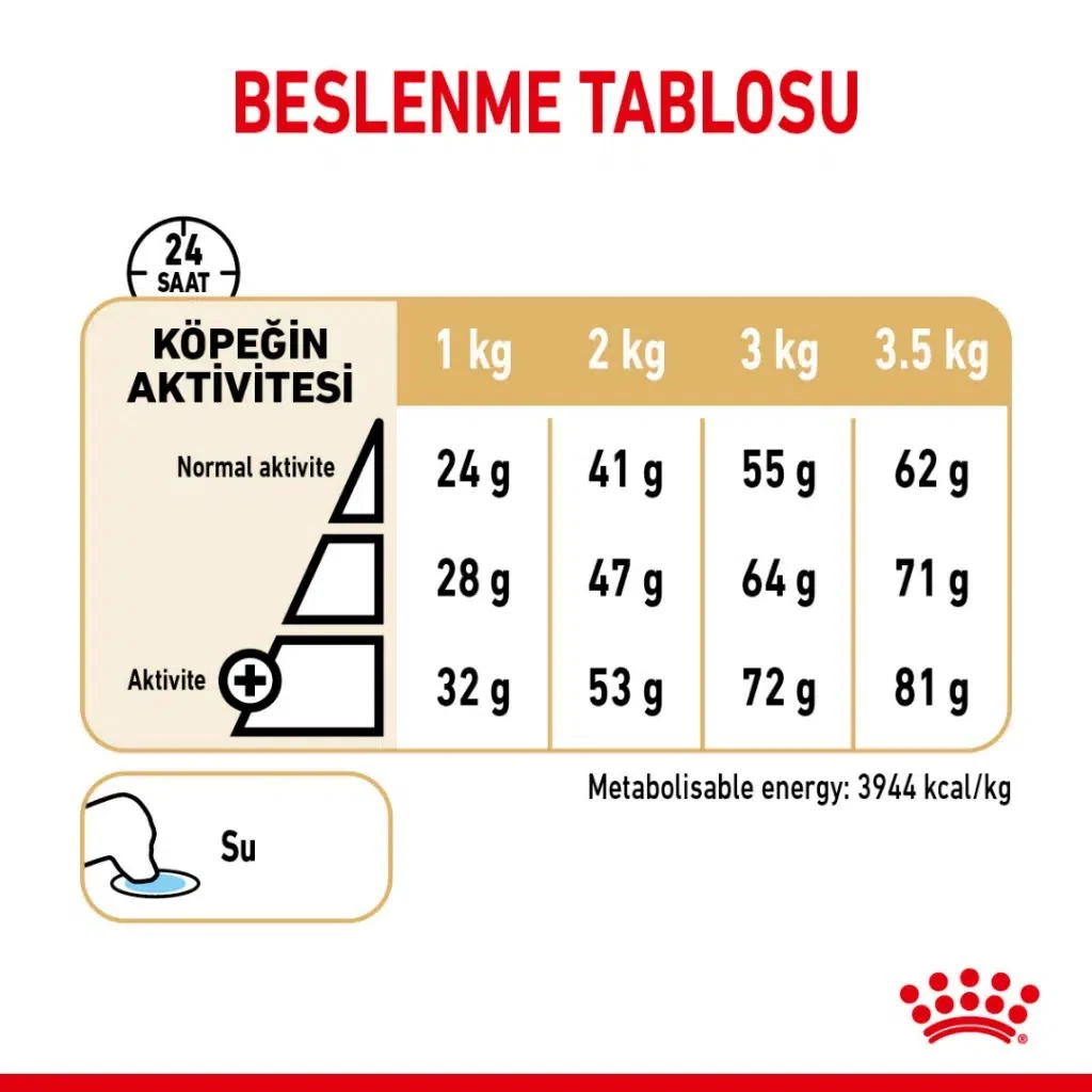 Görsel küçük resim 6