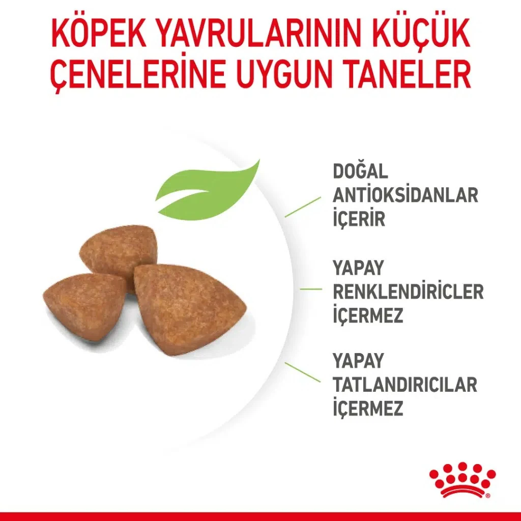 Görsel küçük resim 3