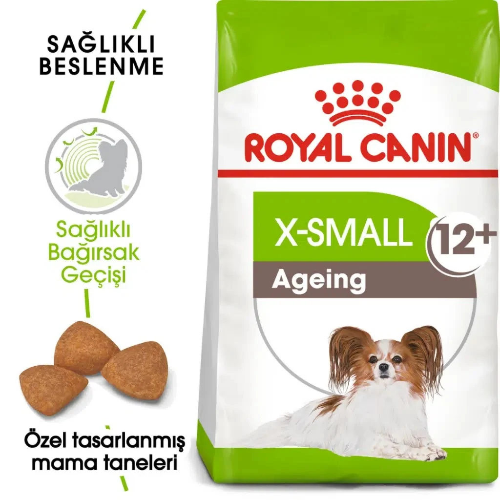 Görsel küçük resim 2